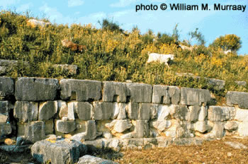 Photograph showing a portion of the wall into which were cut sockets to hold the many rams at Actium